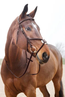 Horze Prescott Mexikanische Trense -Reitsportbedarf 10012 BR 03