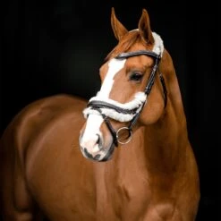 Horze Rome Anatomische Trense 10 Horze Rome Anatomische Trense -Reitsportbedarf 10118 DBR 3