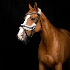 Horze Rome Anatomische Trense 11 Horze Rome Anatomische Trense -Reitsportbedarf 10118 DBR 4