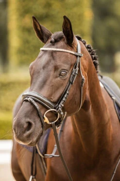 Horze Nancy Stirnriemen Mit Kristallen Und Flechtdetail -Reitsportbedarf 10170 bl rgo 05