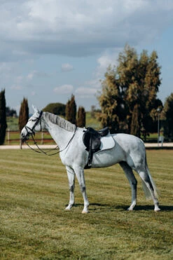 Horze Kühlende Vielseitigkeitsschabracke 28 Horze Kühlende Vielseitigkeitsschabracke -Reitsportbedarf 17307 PBG 3