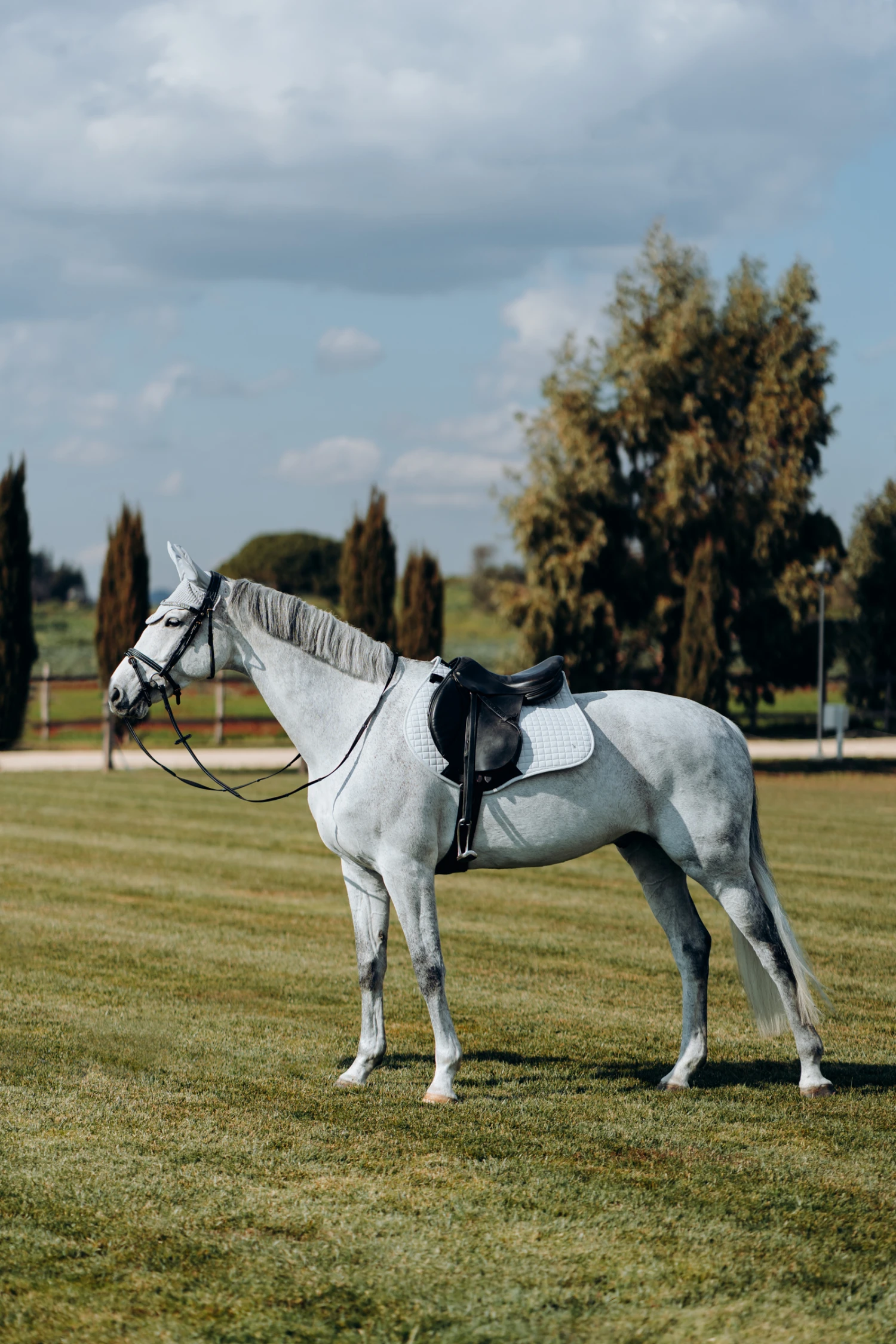 Horze Kühlende Vielseitigkeitsschabracke 10 Horze Kühlende Vielseitigkeitsschabracke – Bild 10