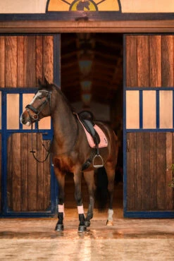 Horze Trixi Pony Vielseitigkeitsschabracke 15 Horze Trixi Pony Vielseitigkeitsschabracke -Reitsportbedarf 17441 333 05