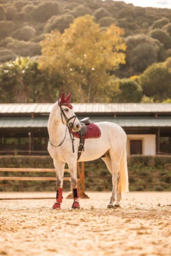 Horze Kenya Vielseitigkeitsschabracke -Reitsportbedarf 17444 251 06