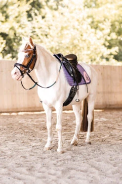 Horze Magic Carousel Vielseitigkeitsschabracke Für Ponys 11 Horze Magic Carousel Vielseitigkeitsschabracke Für Ponys -Reitsportbedarf 17461 433 06