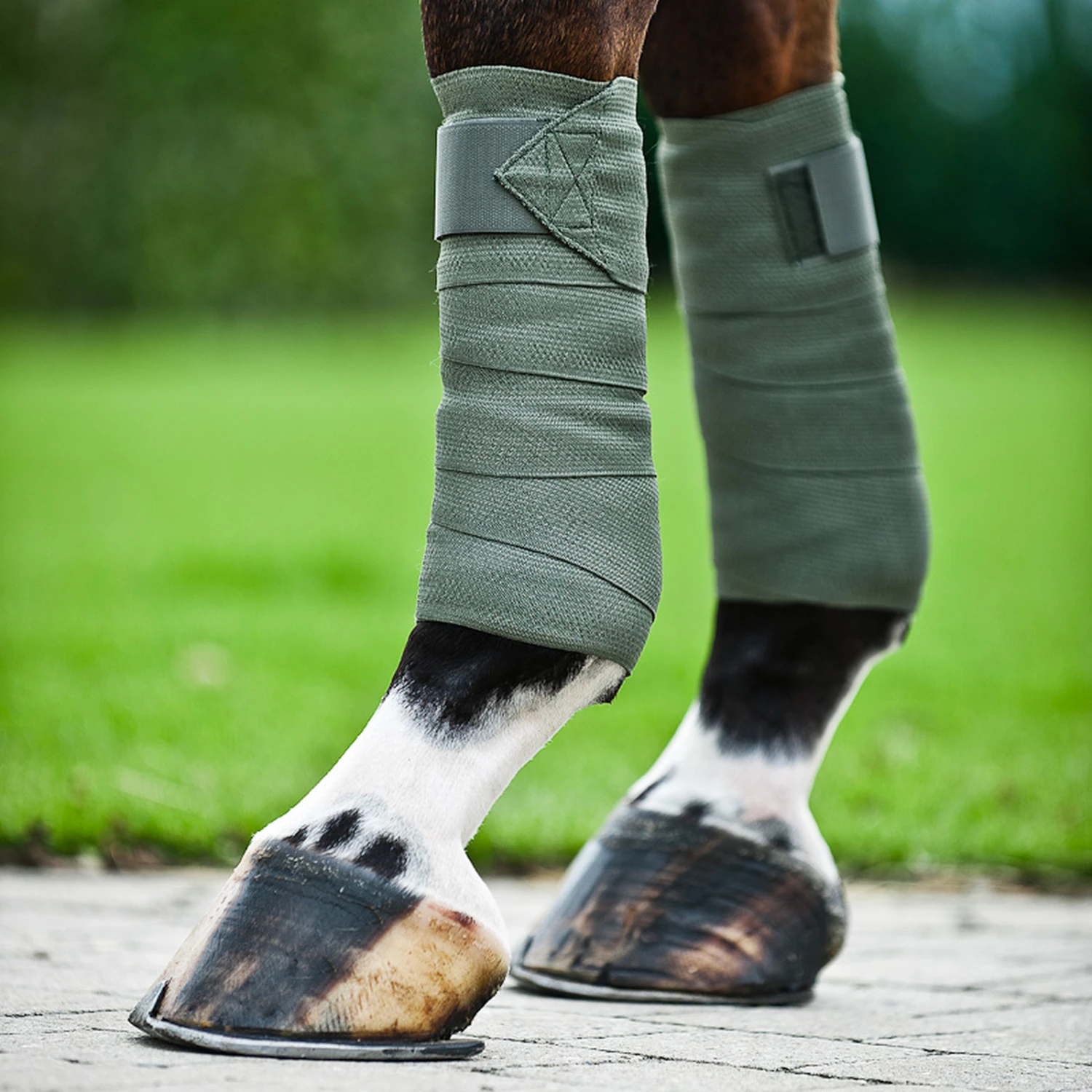 Horze Nest Kombi-Bandagen 11 Horze Nest Kombi-Bandagen – Bild 11