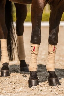 B Vertigo Amory Fleece Bandagen -Reitsportbedarf 18269 WTBE 2