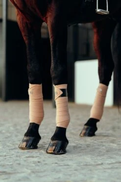 B Vertigo Laurel Fleecebandagen -Reitsportbedarf 18280 TEBR 2