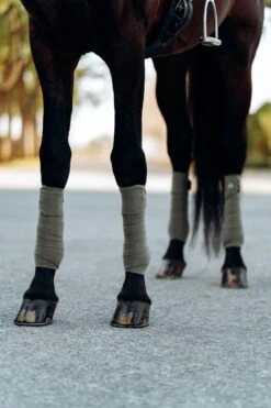 B Vertigo Laurel Fleecebandagen -Reitsportbedarf 18280 WGGR 2