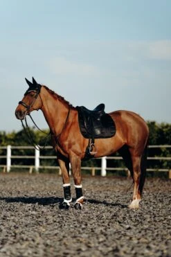 B Vertigo Drew Gamaschen Mit Kunstfellfutter -Reitsportbedarf 19201 BL 7