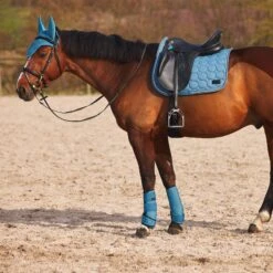 Horze Marquess Neopren-Gamaschen 26 Horze Marquess Neopren-Gamaschen -Reitsportbedarf 19204 AGNB 7