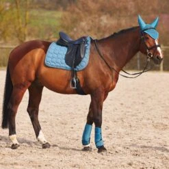 Horze Marquess Neopren-Gamaschen 28 Horze Marquess Neopren-Gamaschen -Reitsportbedarf 19204 AGNB 9