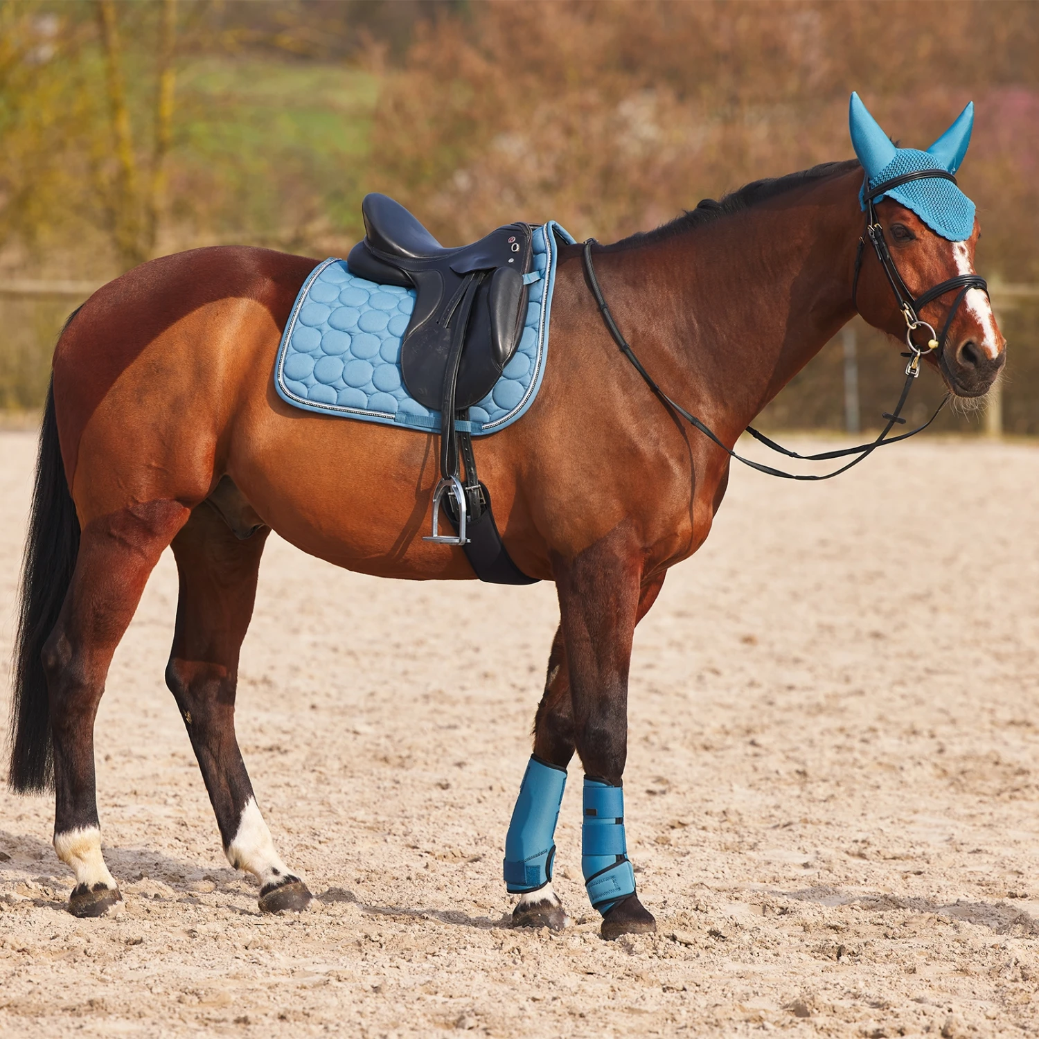 Horze Marquess Neopren-Gamaschen 9 Horze Marquess Neopren-Gamaschen – Bild 9