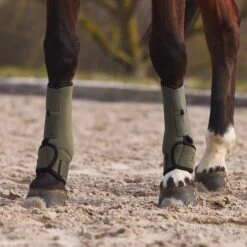 Horze Marquess Neopren-Gamaschen 34 Horze Marquess Neopren-Gamaschen -Reitsportbedarf 19204 BOGR 6