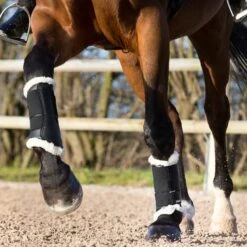 Horze Signature Gamaschen -Reitsportbedarf 19212 BL 2