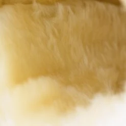 Horze Signature Gamaschen -Reitsportbedarf 19212 BL 21