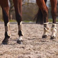 Horze Windsor Streichkappen Mit Kunstfellfutter -Reitsportbedarf 19262 LBR 5