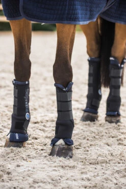 Horze Stallgamaschen Pro, Hinten -Reitsportbedarf 19409 bl 10