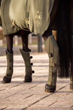 B Vertigo Wellington Transportgamaschen (4er Set) -Reitsportbedarf 19528 630 06