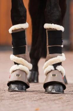 B Vertigo Quinn Hufglocken -Reitsportbedarf 19737 SBE 5