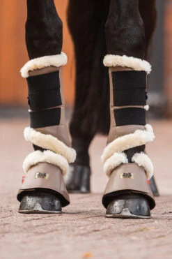 B Vertigo Quinn Hufglocken -Reitsportbedarf 19737 sbe 05