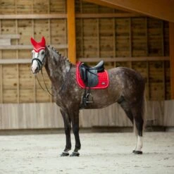 B Vertigo Raxus Fliegenhaube -Reitsportbedarf 22862 LPPI 4