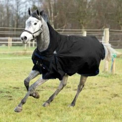 Horze Avalanche Regendecke Mit Hohem Hals, 150g -Reitsportbedarf 24047 BL 1