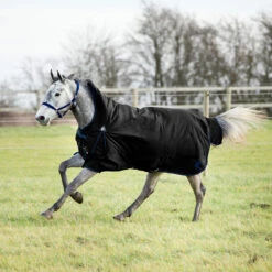 Horze Avalanche Regendecke Mit Hohem Hals, 150g -Reitsportbedarf 24047 BL 2