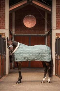 Horze Geneva Stalldecke, 200g -Reitsportbedarf 24096 SIB 3