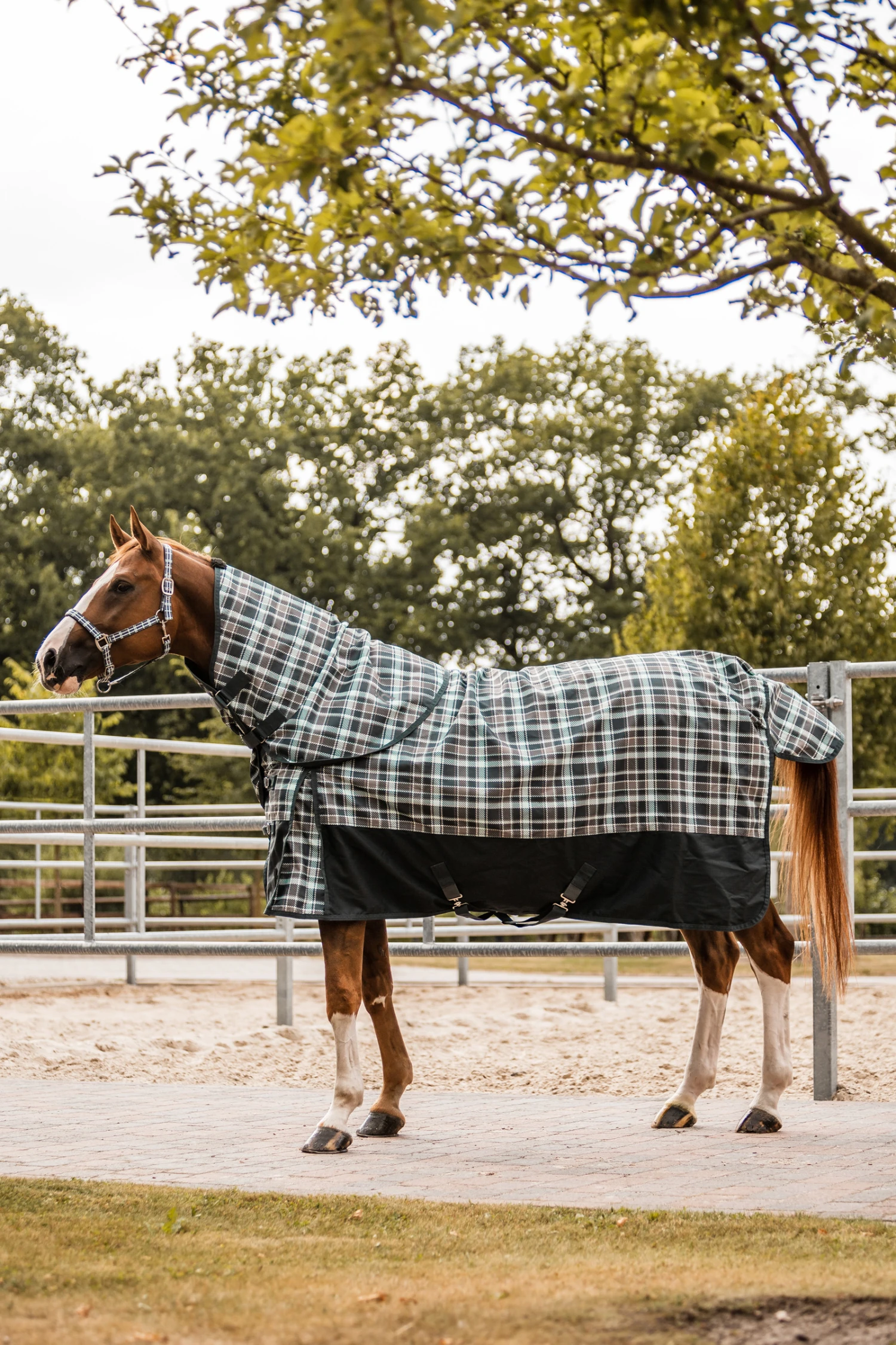 Horze Nevada Halsteil Für Regendecke, 200g 9 Horze Nevada Halsteil Für Regendecke, 200g – Bild 9