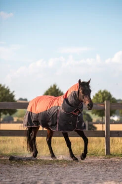 Horze Lucerne Halsteil, 250g -Reitsportbedarf 24199 237 04