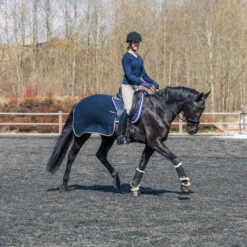 B Vertigo Concord Trainingsdecke -Reitsportbedarf 24328 VDB 3