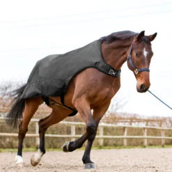 Horze Nevada Führanlagendecke, 200g -Reitsportbedarf 24331 BL 3