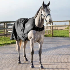 Horze Nevada Führanlagendecke, 200g -Reitsportbedarf 24331 BL 5