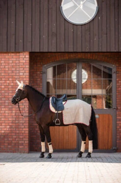 B Vertigo Amory Nierendecke -Reitsportbedarf 24389 WTBE 3