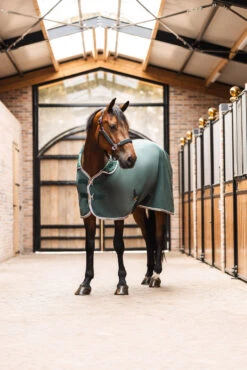 B Vertigo Evolve Fleece-Kühldecke -Reitsportbedarf 24445 681 07