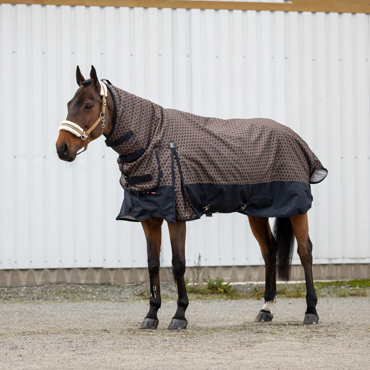 Horze Avalanche Regendecke Combo 1200D, 150g 3 Horze Avalanche Regendecke Combo 1200D, 150g – Bild 3