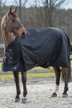 Horze Nevada Regendecke -Reitsportbedarf 24575 BL 02