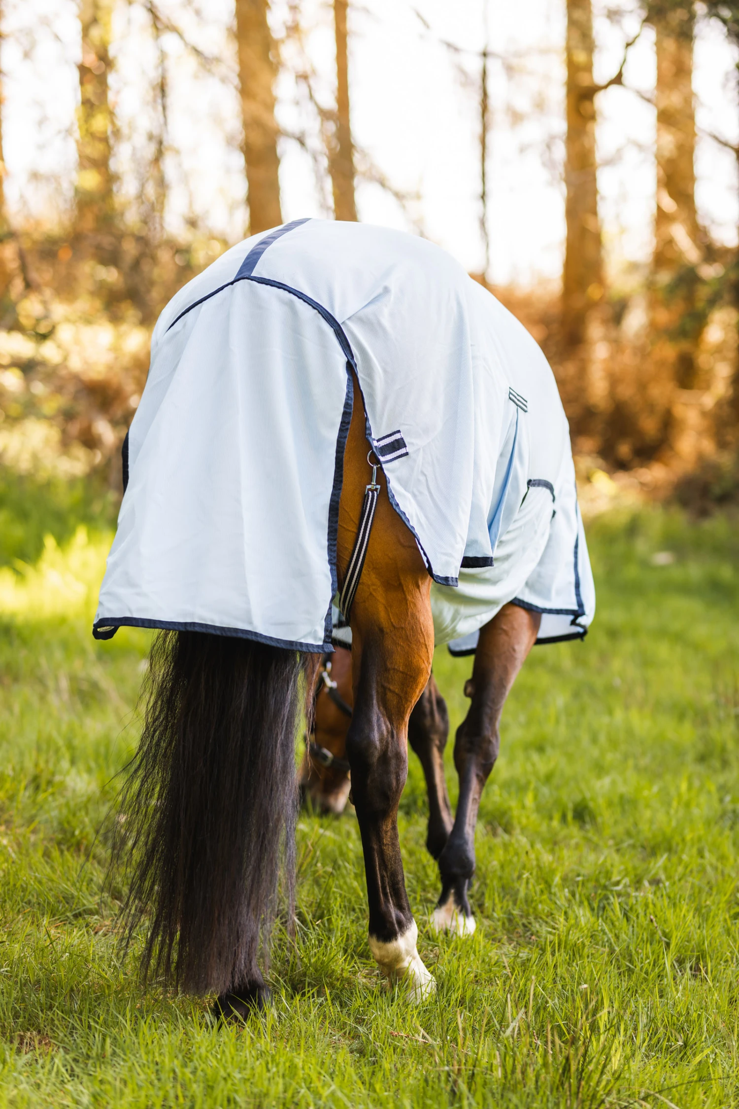 Horze Freja Combo Fliegendecke 13 Horze Freja Combo Fliegendecke – Bild 13