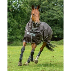 Bucas Smartex Combi Neck, 0g -Reitsportbedarf 24860 BR 2