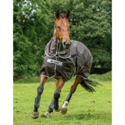 Bucas Smartex Combi Neck Halsteil 300 -Reitsportbedarf 300493 CBR 2