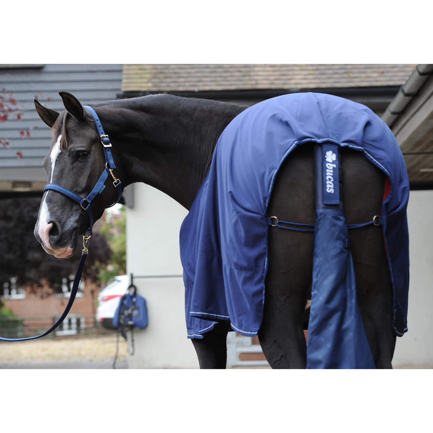 Bucas Schweifschutz/Beutel 2 Bucas Schweifschutz/Beutel – Bild 2