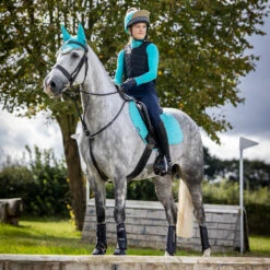 Reitsportbedarf -Reitsportbedarf 306254 ABB 2