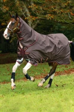 Horseware Amigo Halsteil, 0g -Reitsportbedarf 307509 BR RE GO 2