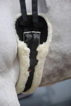 Kentucky Horsewear Lammfell Kurzgurt -Reitsportbedarf 307787 BL 9