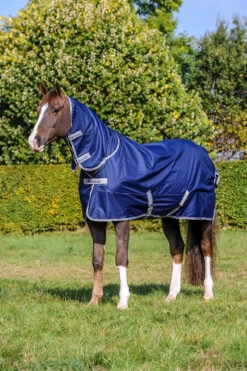 Bucas Freedom Turnout Light Fullneck Pony Regendecke Mit Festem Halsteil