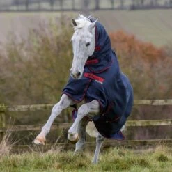 Bucas Freedom Turnout Light Fullneck Pony Regendecke Mit Festem Halsteil -Reitsportbedarf 316869 GDG 2