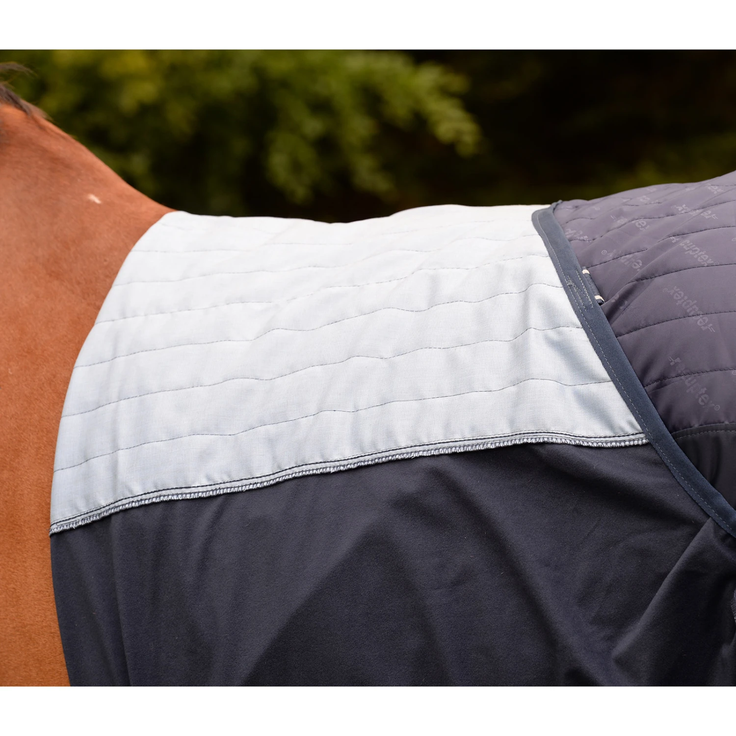 Bucas Therapy Cooler Abschwitzdecke 2 Bucas Therapy Cooler Abschwitzdecke – Bild 2