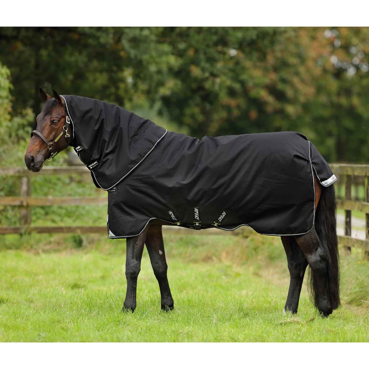 Horseware Amigo Bravo 12 Plus Weidedecke, 400g 1 Horseware Amigo Bravo 12 Plus Weidedecke, 400g