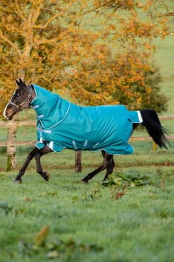Horseware Amigo Bravo 12 Plus Weidedecke, 400g 14 Horseware Amigo Bravo 12 Plus Weidedecke, 400g -Reitsportbedarf 320369 STGR 1